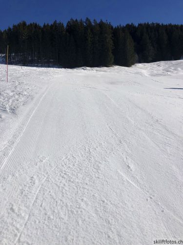 18. Februar 2019
