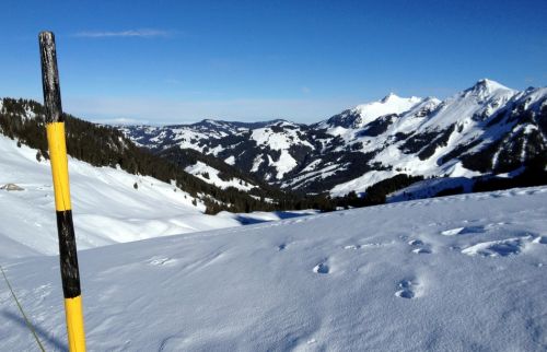 Blick ins Gantrischgebiet
