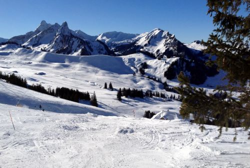 22. Januar 2013
