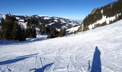 22. Januar 2013
