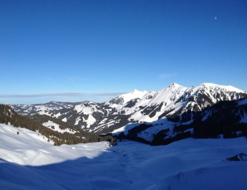 22. Januar 2013
