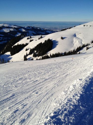 22. Januar 2013
