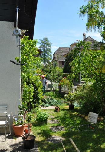 Vermutlich das einzige erhaltene Doppelmayer-Gehänge des ersten Sedruner Bügelliftes in Valtgeva, das viele Jahre am Skilift Surrein hing - konserviert in Bern auf einem Ehrenplatz!
