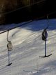 200503wiriehorn-173.jpg