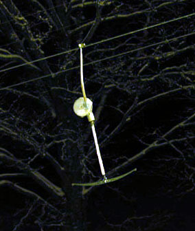 SL-9 noch im vollen Einsatz (Nachtskifahren am Balmberg, Februar 2004)
