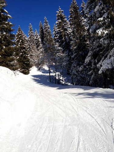 Brigels, 26. Januar 2012
