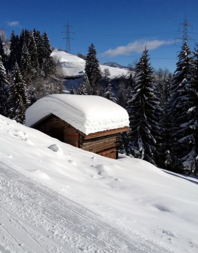 Brigels, 26. Januar 2012
