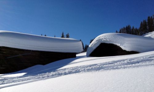 Brigels, 26. Januar 2012

