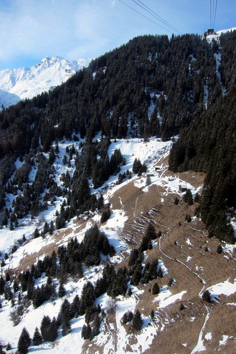 28. Januar 2011
