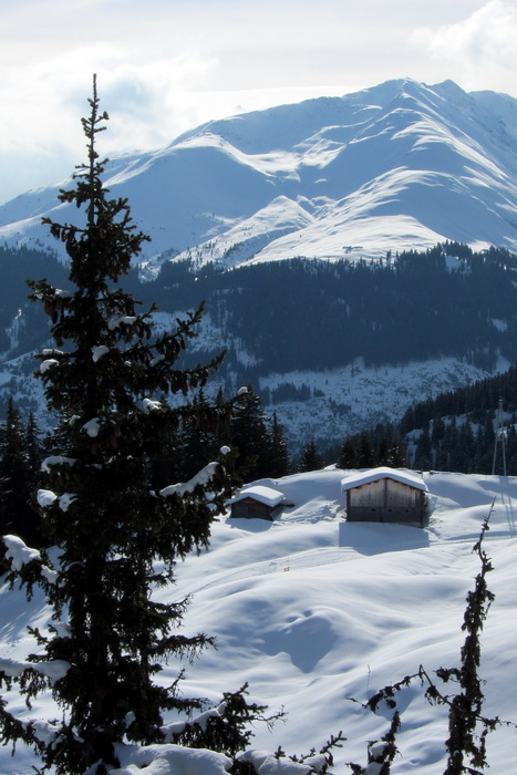 28. Januar 2011
