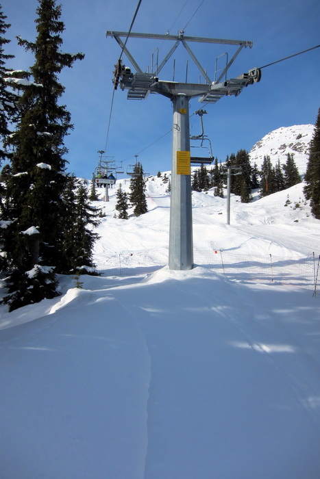 28. Januar 2011
