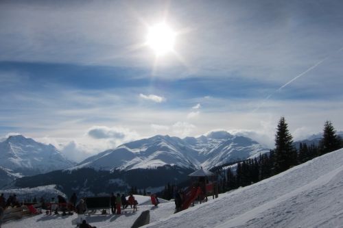 28. Januar 2011
