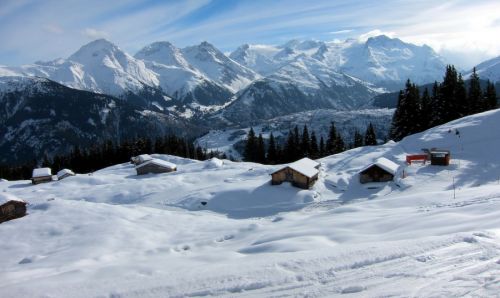 28. Januar 2011
