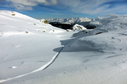 28. Januar 2011

