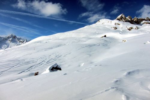 28. Januar 2011

