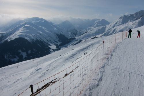 28. Januar 2011
