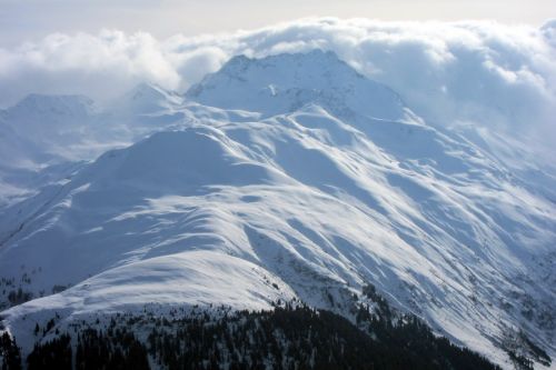 Cuolm Cavorgia, Gannaretsch

