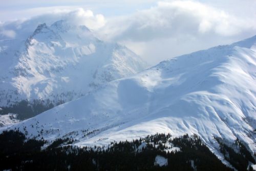 28. Januar 2011
