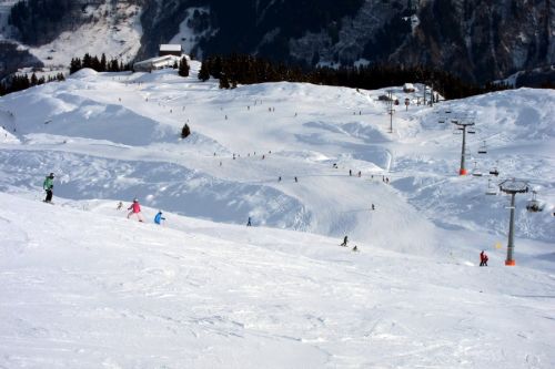 28. Januar 2011
