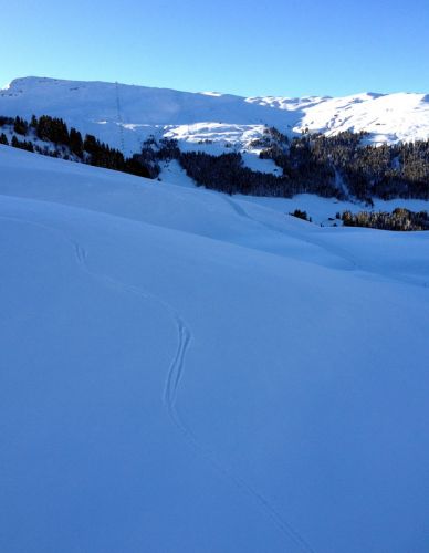 12. Januar 2012
