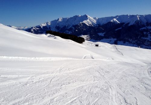 12. Januar 2012
