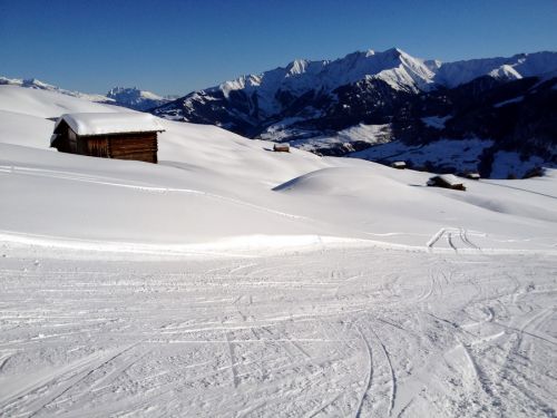12. Januar 2012
