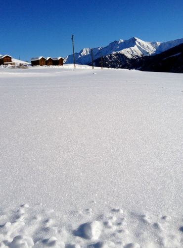 12. Januar 2012
