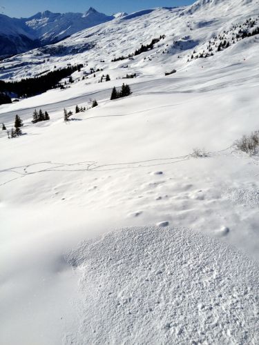 12. Januar 2012
