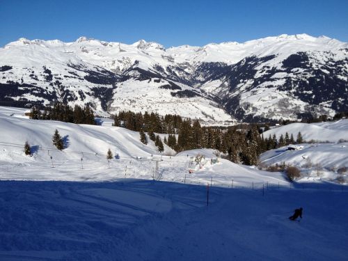 12. Januar 2012
