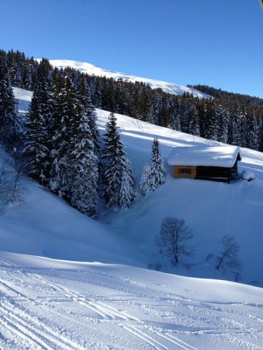 12. Januar 2012
