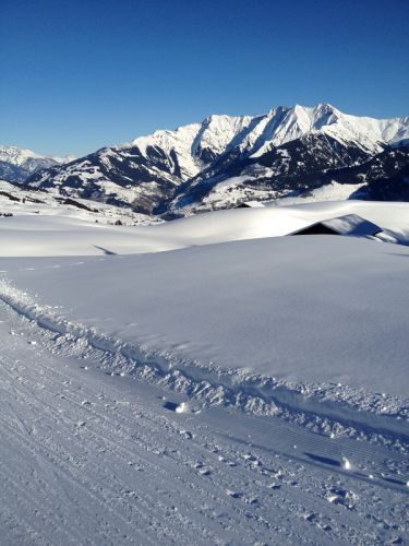 12. Januar 2012

