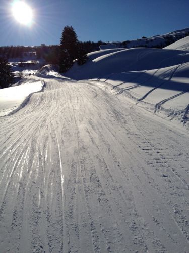 12. Januar 2012

