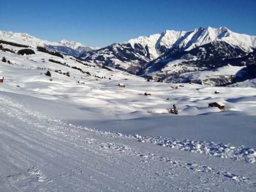 12. Januar 2012

