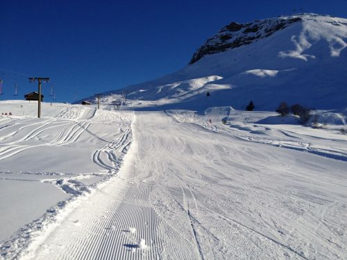 12. Januar 2012
