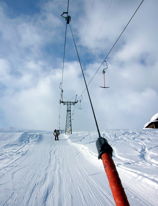 20090214-sarn-0132.jpg