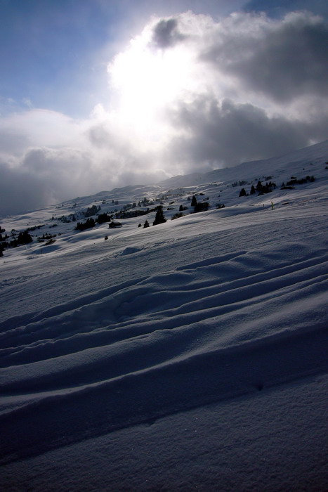 14. Februar 2009
