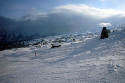 14. Februar 2009
