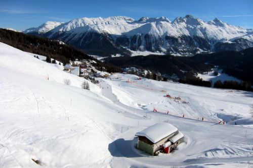 27. Januar 2011
