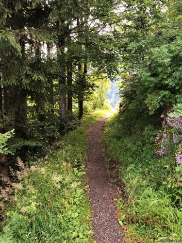 Emmetten-Hammen, 22. Juli 2020
