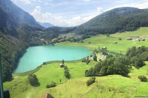 Alp Weid, 22. Juli 2020
