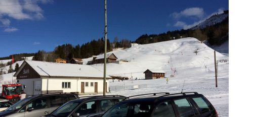 Neusell, 28. Januar 2014
