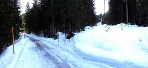 Unterwegs zum Alpboden
