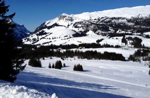 29. Februar 2012
