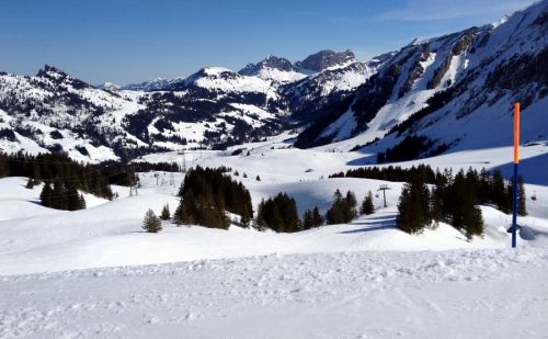 29. Februar 2012
