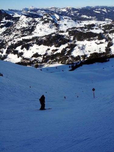 29. Februar 2012
