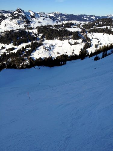 29. Februar 2012
