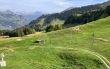 20231010-b-stoos-4224.jpg