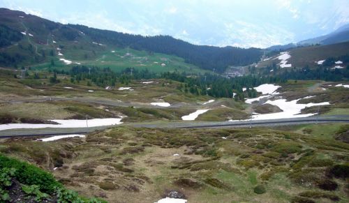 Übersicht Arven mit Grindelwald im Hintergrund (31. Mai 2009)
