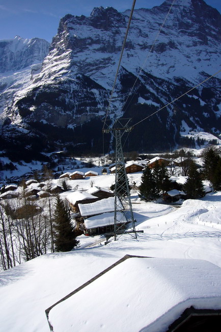 18. März 2009
