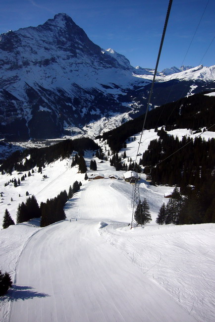 18. März 2009
